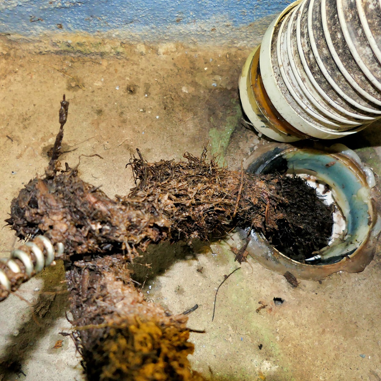Problèmes de drainage
